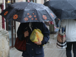 Дождь и мокрый снег ждут ростовчан в воскресенье, 12 января