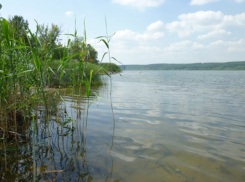 В Ростовской области в Дону утонул 13-летний мальчик