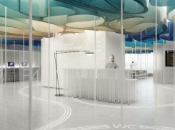 «Цветочное царство южной степи» отразят дизайнеры в интерьерах аэропорта «Платов»