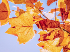 Дождь миновал: прогноз погоды в Ростове на 19 сентября