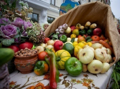 Натуральные и недорогие продукты ростовчане смогут купить на продовольственной ярмарке 