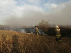 В Ростовской области продолжают бушевать природные пожары