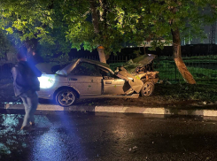 В Ростовской области иномарка врезалась в дерево, водитель погиб