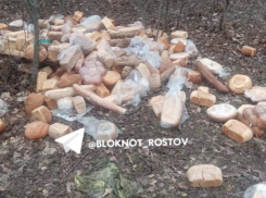 В Новошахтинске местные жители обнаружили свалку хлеба возле Братской могилы