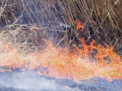 Пожароопасный сезон приходит в Ростовскую область