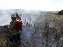 В Ростове нашли виновного в пожаре в Кумженской роще