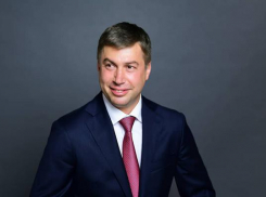 Сити-менеджер Ростова Алексей Логвиненко за год заработал 14,3 млн рублей