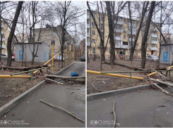 Более 300 ростовчан остались без газа из-за упавшего на трубу дерева