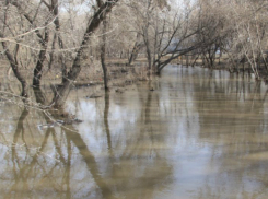 Угроза весеннего разлива рек пугает жителей Ростовской области