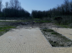 Горожане просят чиновников достроить парк в Александровке и посадить деревья