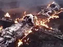 Неизвестный летательный аппарат разбился утром 10 октября в Ростовской области