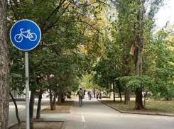 Почему Ростов остается городом велосипедного беспредела