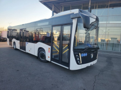 Власти Ростова рассказали, где будут работать 42 новых автобуса