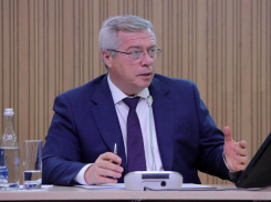 Губернатор Ростовской области пожелал всем носить одежду российского производства