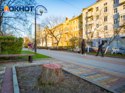 Теплое воскресенье ждет ростовчан 25 апреля