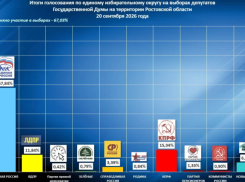 В Ростовской области подвели итоги трехдневных выборов