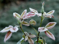В Ростовской области резко похолодает
