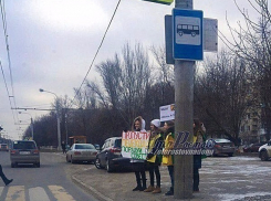 Веселые студентки предложили ростовским водителям на переходе необычную радость