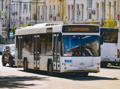 Власти Ростова предложили изменить схему 10 маршрутов и ввести 2 новых