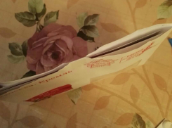 Загадочно вскрытое поздравление президента Путина бабушки-ветерана возмутило жителя Ростова