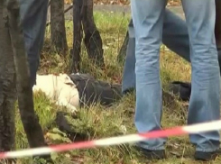 Полуразложившийся труп мужчины ужаснул отдыхающих в лесопарке под Ростовом