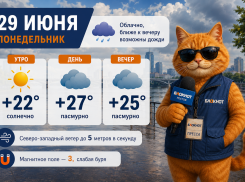 В начале недели ожидается переменная облачность и небольшой вечерний дождь