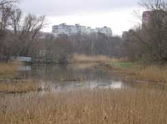 На расчистку реки Темерник в Ростове выделили 392 млн рублей