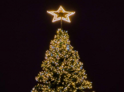 В Ростове установили главную городскую елку