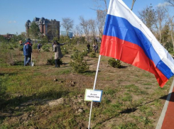 В Ростове в парке «Левобережный» создадут систему полива деревьев