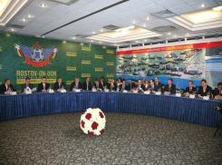 Визит в Ростов инспекторов FIFA перед началом ЧМ-2018 обойдется в 1,5 млн рублей