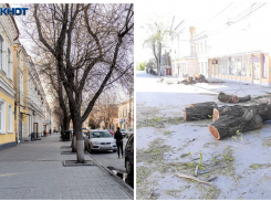 Илья Варламов раскритиковал ремонт центральной улицы в Таганроге