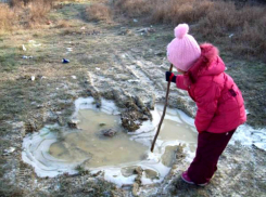 Заморозки ударят по почве и цветущим деревьям в Ростовской области