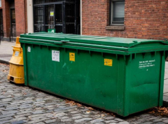 Ростовчанам запретят выбрасывать ветки и другой крупный мусор в контейнеры с 1 сентября