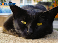 Первая неделя осени в Ростове будет жаркой и ясной