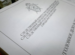 Бастрыкин поручил возбудить дело о пропаже женщины в Ростовской области