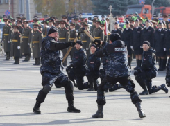 Преступления на новогодние праздники сократились почти в три раза 
