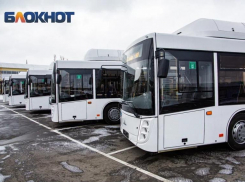 Минимум до весны продолжат работу автобусные маршруты в садовые товарищества в Ростовской области  