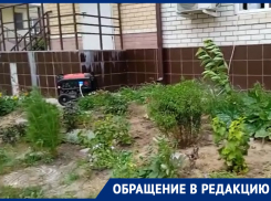 «Идем с детьми пешком на 12 этаж»: жители микрорайона Суворовский рассказали о постоянных перебоях со светом