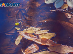 Резкое похолодание ожидается в последнюю неделю марта в Ростове