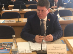 Врач-депутат гордумы Ростова любит дайвинг и зарабатывает 195 тысяч в месяц