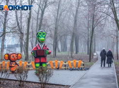 Заморозки ожидаются на выходных в Ростове-на-Дону