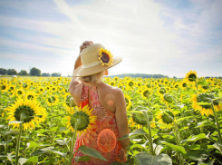 Тепло, но не жарко: рассказываем о погоде в Ростове в понедельник, 1 июля 