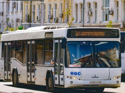 Власти Ростова рассказали, как намерены бороться с простоями общественного транспорта