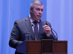 Активных и креативных депутатов не хватает в парламенте Ростовской области 