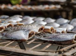 Житель Ростовской области может сесть в тюрьму из-за вяленой рыбы
