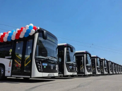 Ростовская область получит 642 млн рублей на закупку 112 новых автобусов