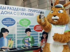 Календарь: 15 ноября отмечается Всемирный день вторичной переработки
