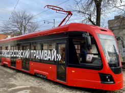 Премии на 144 миллиона рублей при огромных убытках нашли аудиторы в «Ростовской транспортной компании» 