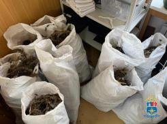 В Ростовской области задержали мужчину с более чем 70 килограммами каннабиса