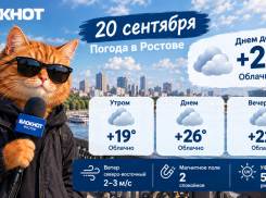 В последний день выборов в Ростове ожидается теплая, хоть и облачная погода